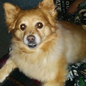 Meet your Posher, Starr